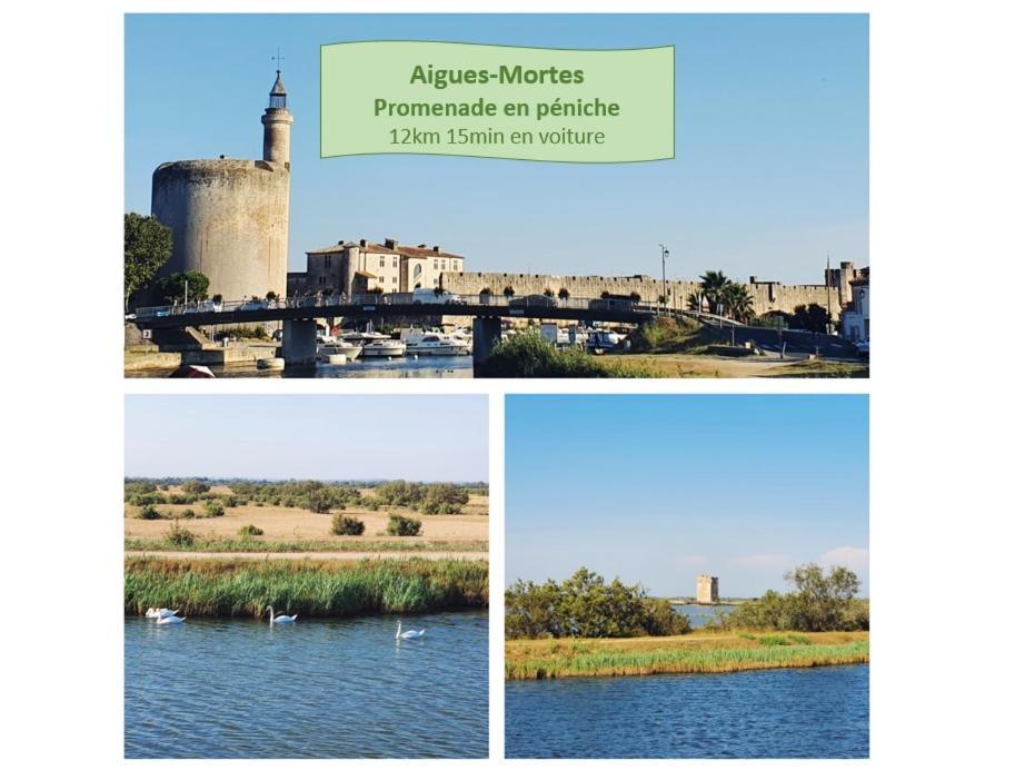 L'Olympe Vue Lac Parking Clim Wifi - Rossiconciergerie - Linge Inclus La Grande-Motte Exterior foto